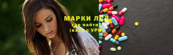 молекула духа Снежногорск