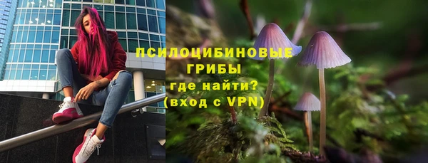 ECSTASY Снежинск
