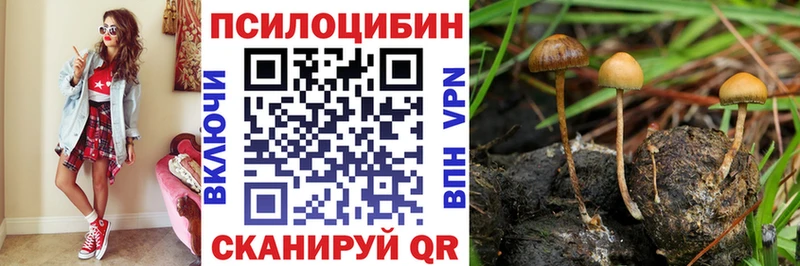 Псилоцибиновые грибы мицелий купить цена Кудрово