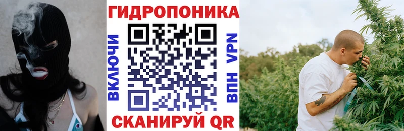 дарк нет официальный сайт  Кудрово  Конопля конопля 